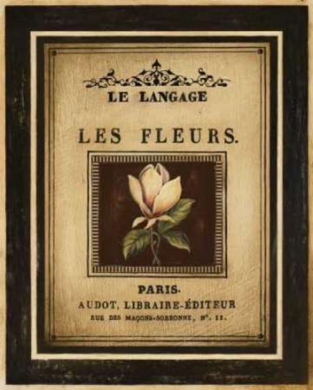 Flower Garden II Poster Print by Kimberly Poloson - Item # VARPDXPOL133